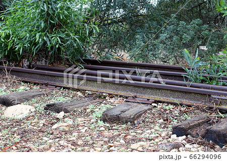 railway and rail cars in Israel railway and rail cars in Israel 66294096