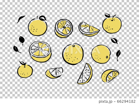 Citron Citron 66294182