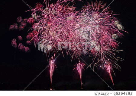 古河花火大会「花桃物語・田熊火工」 66294292