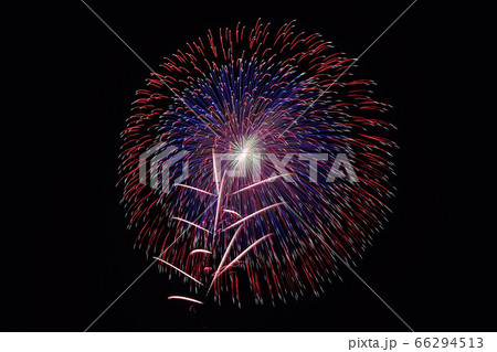 古河花火大会 珠玉10発の大輪菊 野村花火工業 の写真素材