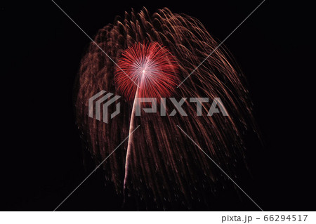 古河花火大会「珠玉10発の大輪菊・野村花火工業」 古河花火大会「珠玉10発の大輪菊・野村花火工業」 66294517