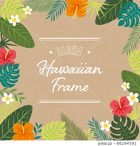 ハイビスカスと植物のハワイアンフレームのイラスト素材