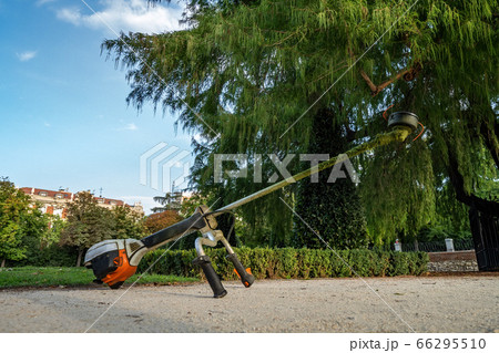 Gasoline lawn mowing trimmer after work at park Gasoline lawn mowing trimmer after work at park 66295510
