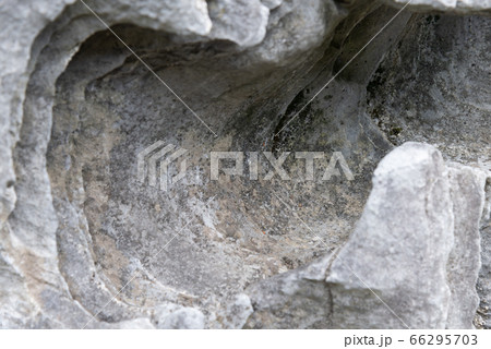 景色 風景 台湾 66295703