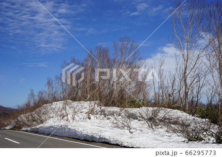 春の八幡平　アスピーテラインからの風景 66295773