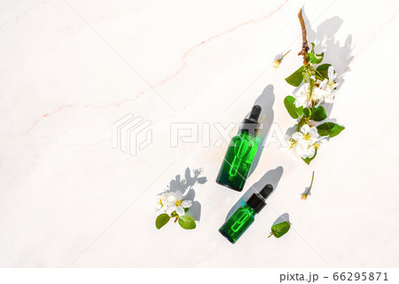 Serum with herbal extracts for skincare. Flat Lay minimalism Serum with herbal extracts for skincare. Flat Lay minimalism 66295871
