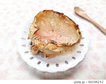 食べ終わったカニグラタン　空のカニの甲羅 66296253