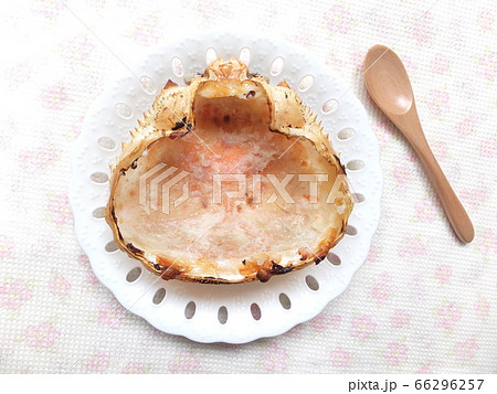 食べ終わったカニグラタン　空のカニの甲羅 66296257