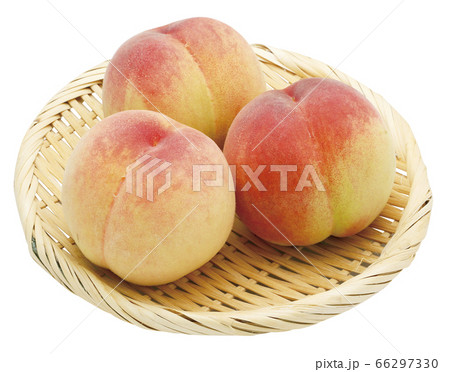 モモ_08（パス付） 66297330