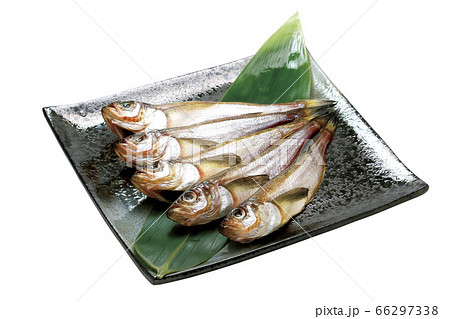 はたはた一夜干し_08（パス付） 66297338