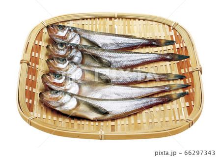 はたはた一夜干し_03（パス付） 66297343