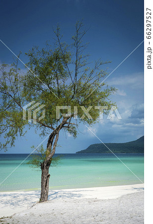 long beach in tropical paradise koh rong island long beach in tropical paradise koh rong island 66297527