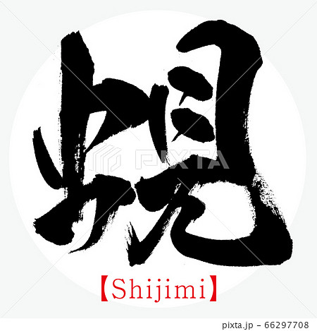 蜆・Shijimi（筆文字・手書き） 66297708