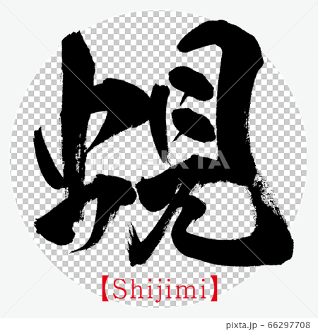 蜆・Shijimi（筆文字・手書き） 66297708