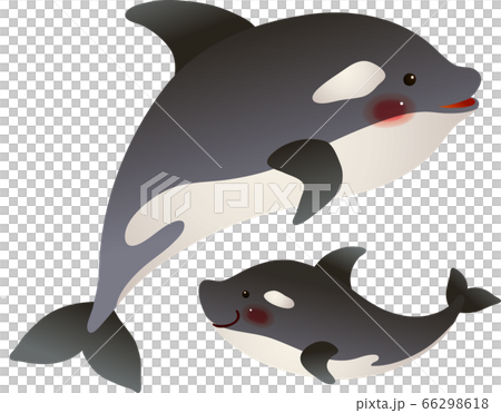 クジラの親子が仲良く泳いでいるイラストのイラスト素材