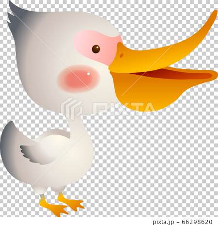 Illustration of a pelican standing sideways - Stock Illustration [66298620]  - PIXTA