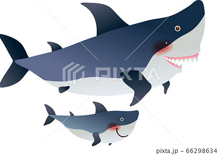 サメの親子が仲良く泳いでいるイラストのイラスト素材