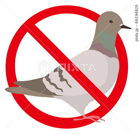 鳩 禁止 注意 餌付けのイラスト素材