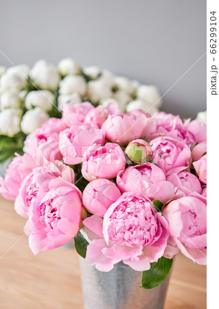 Different varieties of peonies in a metal vases. Beautiful peony flower for catalog or online store. Floral shop concept . Beautiful fresh cut bouquet. Flowers delivery Different varieties of peonies in a metal vases. Beautiful peony flower for catalog or online store. Floral shop concept . Beautiful fresh cut bouquet. Flowers delivery 66299104