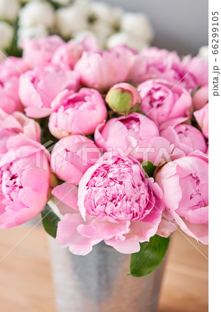 Different varieties of peonies in a metal vases. Beautiful peony flower for catalog or online store. Floral shop concept . Beautiful fresh cut bouquet. Flowers delivery 66299105