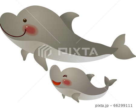 イルカの親子が仲良く泳いでいるイラストのイラスト素材