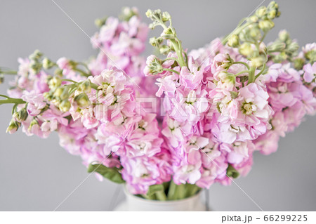 Bouquet of Beautiful lilac mattiola. Spring flowers in vase on wooden table. Flowers delivery. 66299225