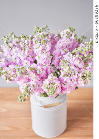 Bouquet of Beautiful lilac mattiola. Spring flowers in vase on wooden table. Flowers delivery. 66299236