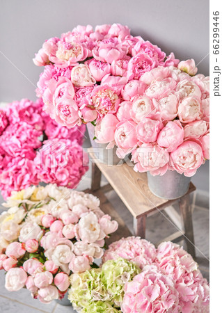 vases with peonies for Flowers delivery. Pink Angel Cheeks peonies in a metal vase. Beautiful peony flower for catalog or online store. Floral shop concept . vases with peonies for Flowers delivery. Pink Angel Cheeks peonies in a metal vase. Beautiful peony flower for catalog or online store. Floral shop concept . 66299446