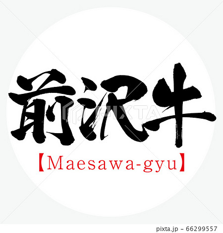 前沢牛 Maesawa Gyu 筆文字 手書き のイラスト素材