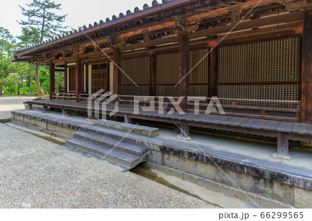 唐招提寺 唐招提寺 66299565