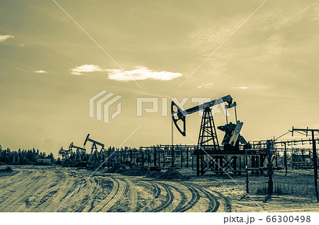 Petroleum concept. Oil pump rig. Oil and gas production. Oilfield site. Pump Jack are running. Drilling derricks for fossil fuels output and crude oil production. Global crisis. War on oil prices. 66300498
