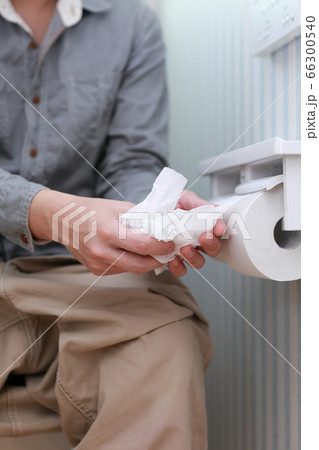 トイレットペーパー (トイレットロール 固定ホルダー お手洗い 洋式便所 エコロジー eco 紙) 66300540
