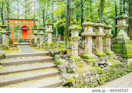 奈良県》春日大社：鳥居と石灯篭の写真素材 [66300597] - PIXTA