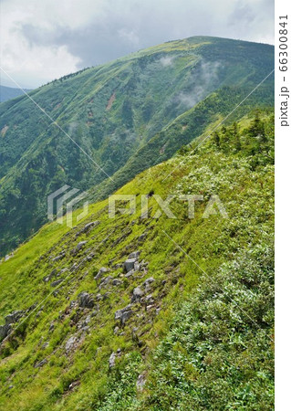 尾根からの平ヶ岳山頂 66300841