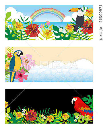 南国の鳥と観葉植物の背景セットのイラスト素材
