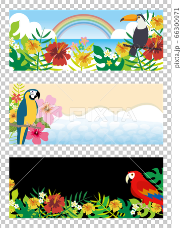 熱帶鳥類和觀賞植物背景設置 插圖素材 圖庫