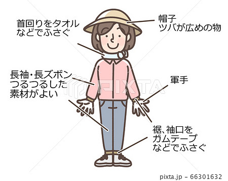 虫刺され対策の服装 草むしり ハイキングなどのイラスト素材