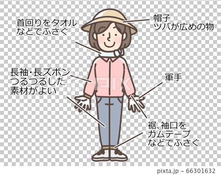 虫刺され対策の服装 草むしり ハイキングなどのイラスト素材