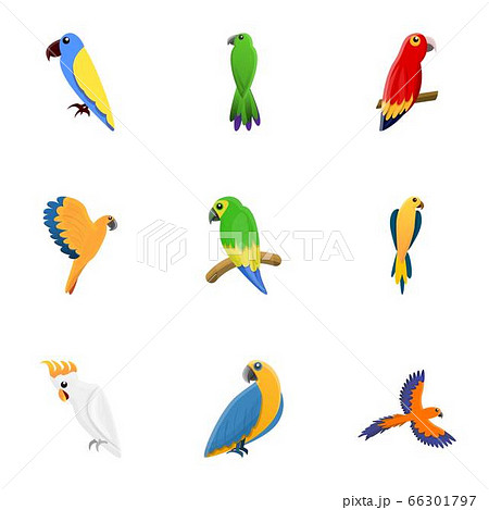 Cute parrot icon set, cartoon style 66301797