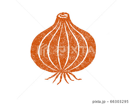たまねぎのイラスト 66303295