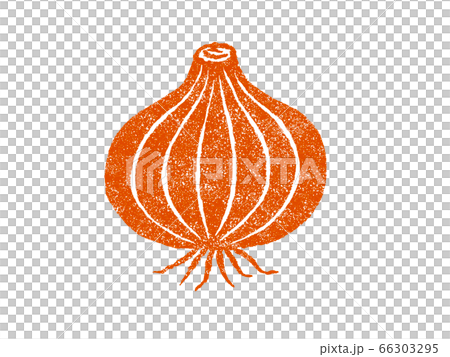 たまねぎのイラスト 66303295