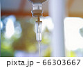Saline iv bag intravenous drip hospital room,Medical Concept,treatment and injection vitamin natural drug infusion care chemotherapy concept.green light background hospital,Selective focus 66303667