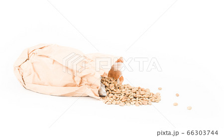 Coffee beans unroasted Coffee beans unroasted 66303744