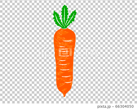 にんじんのイラスト 66304050