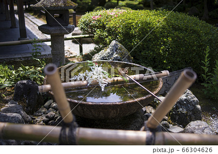 京都府京都市左京区の圓光寺の十牛之庭にある水琴窟 66304626