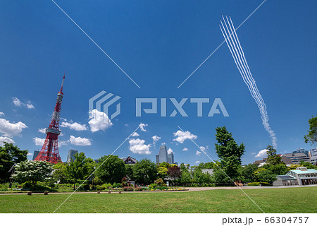 東京タワーとブルーインパルス 66304757