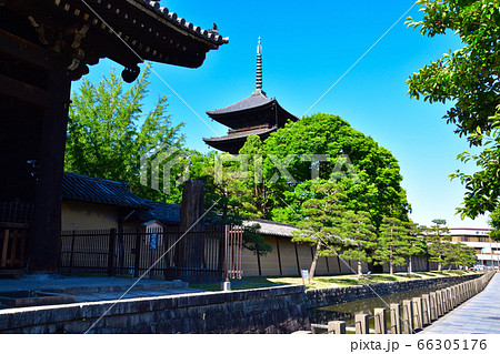 京都 東寺 京都 東寺 66305176