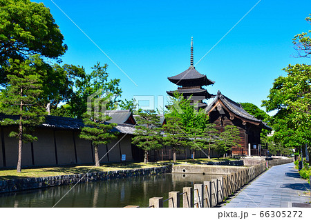 京都　東寺 66305272