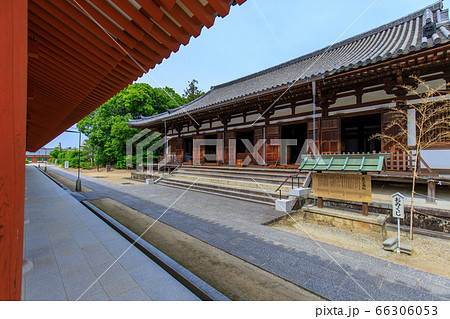 薬師寺 薬師寺 66306053