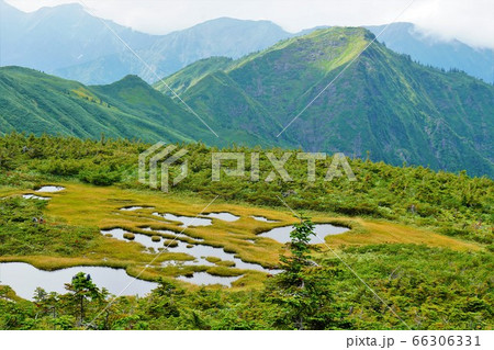平ヶ岳の池塘と剱ヶ倉山 66306331